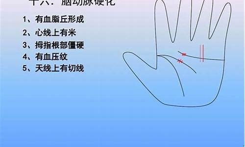 2023年最准确的诊股软件_https://www.ljyuan-tech.com_北交所_第1张