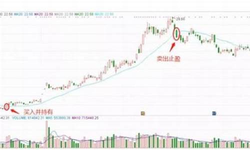 什么叫股票止损(什么叫股票核按钮)_https://www.ljyuan-tech.com_创业板_第1张
