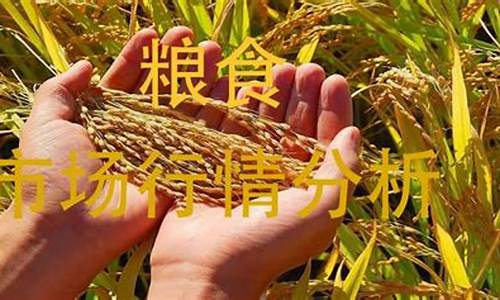 粮食期货行情下什么软件(粮食期货怎么玩)_https://www.ljyuan-tech.com_深交所_第1张