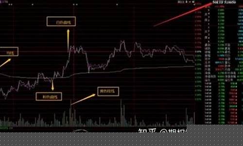 期权期货 入门(期货期权入门视频)_https://www.ljyuan-tech.com_北交所_第1张