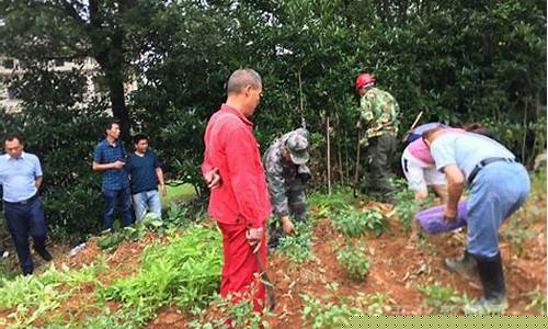 开矿占用农民的林地怎么补偿(开矿毁林)_https://www.ljyuan-tech.com_深交所_第1张