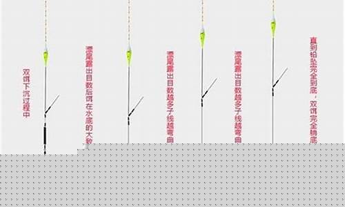 夜光漂最佳调漂方法(夜光漂怎么调漂技巧)_https://www.ljyuan-tech.com_创业板_第1张