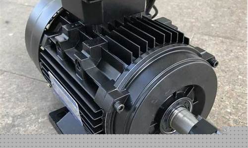 220v小型电动机(220v小型电动机厂家)_https://www.ljyuan-tech.com_科创吧_第1张