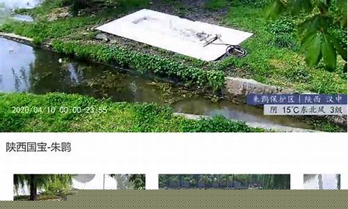 朱朱股市直播(朱鹮直播)_https://www.ljyuan-tech.com_上交所_第1张