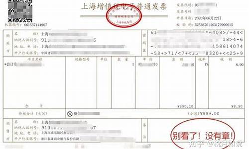 只给电子发票 不给纸质发票(不提供纸质发票只给电子发票)_https://www.ljyuan-tech.com_上交所_第1张