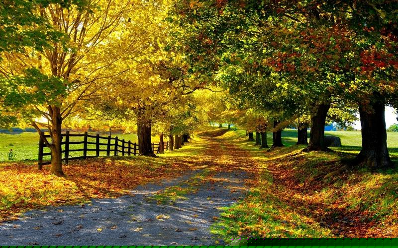 国际期货在线喊单直播平台有哪些(期货直播平台哪个比较好)_北交所_第1张_财经网 国际期货在线喊单直播平台有哪些(期货直播平台哪个比较好)_https://www.ljyuan-tech.com_北交所_第1张