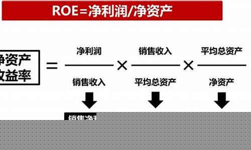 roe是什么意思(role是什么意思)_https://www.ljyuan-tech.com_深交所_第1张