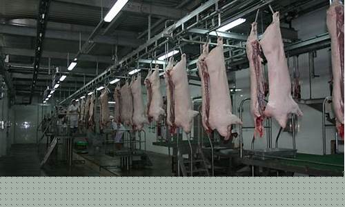 屠宰场下脚料大量批发(屠宰场下脚料大量批发合法吗)_https://www.ljyuan-tech.com_创业板_第1张