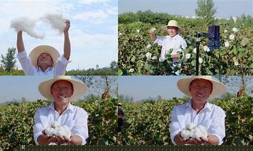 棉花期货直播视频(棉花期货怎么玩)_https://www.ljyuan-tech.com_科创吧_第1张