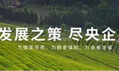 玉米淀粉期货直播间(玉米淀粉期货频道)(期货玉米淀粉走势分析)_https://www.ljyuan-tech.com_北交所_第1张