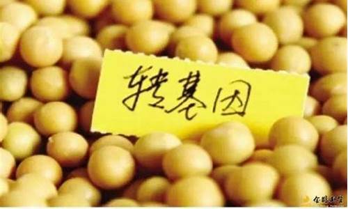 黄豆1号期货直播(黄豆一号期货)(黄豆二号期货)_https://www.ljyuan-tech.com_深交所_第1张