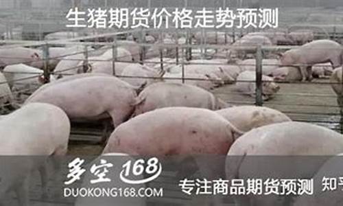 生猪期货教学直播(生猪期货交易入门知识)(生猪期货大盘)_https://www.ljyuan-tech.com_深交所_第1张