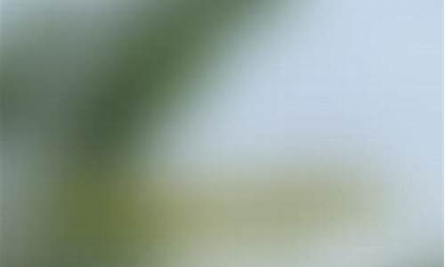 释迦财经直播间(释迦财经直播间是真的吗)(释迦论坛)_https://www.ljyuan-tech.com_创业板_第1张