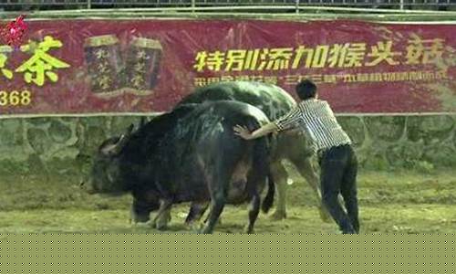 斗午财经直播(斗牛财经频道直播)_https://www.ljyuan-tech.com_创业板_第1张