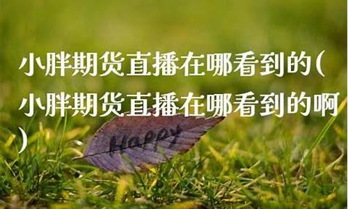 小胖期货直播在哪看到的(小胖期货直播在哪看到的啊)(小胖官网)_https://www.ljyuan-tech.com_北交所_第1张