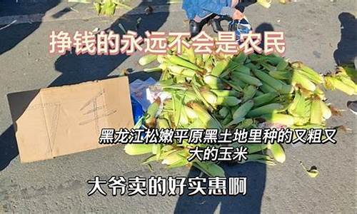 东北玉米期货直播间(东北玉米期货直播间在哪)(东北玉米交易市场)_https://www.ljyuan-tech.com_北交所_第1张
