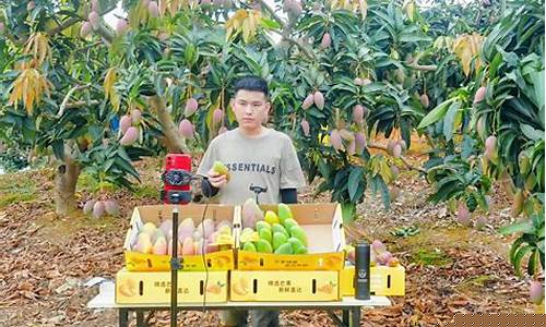 芒果直播期货(芒果期货今日行情)(芒果行情最新信息发布)_https://www.ljyuan-tech.com_深交所_第1张