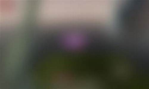 凯文直播期货(凯文直播期货是真的吗)(凯文交易)_https://www.ljyuan-tech.com_上交所_第1张