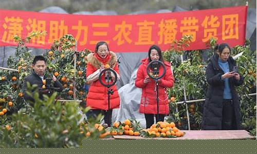 农村财经直播(在农村直播为什么没人看)(农村直播经济)_https://www.ljyuan-tech.com_深交所_第1张