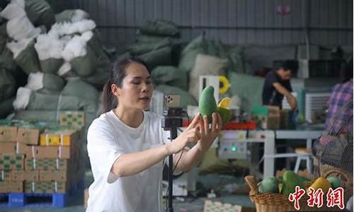 芒果直播室期货(芒果直播室期货是真的吗)_https://www.ljyuan-tech.com_北交所_第1张