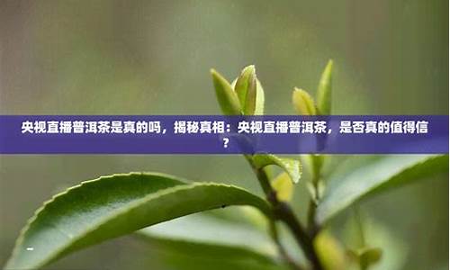 央视财经直播普洱茶(央视2台财经评论普洱茶)_https://www.ljyuan-tech.com_创业板_第1张