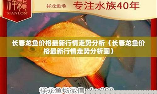 每日行情价格分析##渔鱼期货国际直播间（深度解读和分析获取市场动态信息）_https://www.ljyuan-tech.com_科创吧_第1张