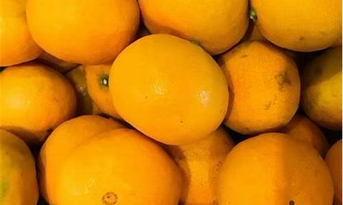 每日行情价格分析##橙子期货直播喊单（深度解读和分析获取市场动态信息）_https://www.ljyuan-tech.com_深交所_第1张