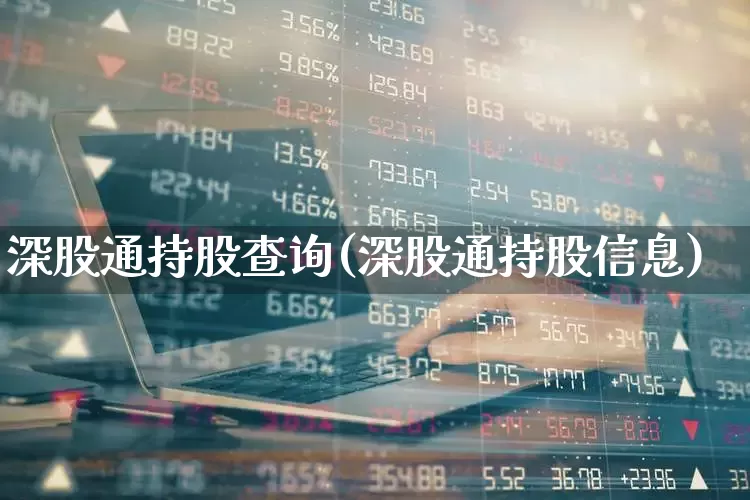 深股通持股查询(深股通持股信息)_https://www.ljyuan-tech.com_科创板_第1张