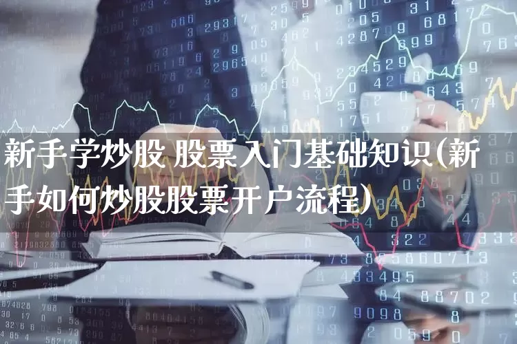 新手学炒股 股票入门基础知识(新手如何炒股股票开户流程)_https://www.ljyuan-tech.com_创业板_第1张