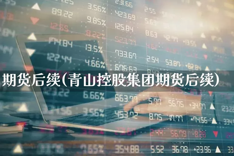 期货后续(青山控股集团期货后续)_https://www.ljyuan-tech.com_深交所_第1张