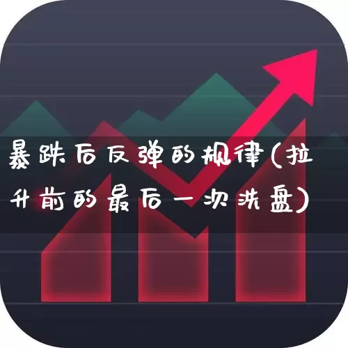 暴跌后反弹的规律(拉升前的最后一次洗盘)_https://www.ljyuan-tech.com_深交所_第1张