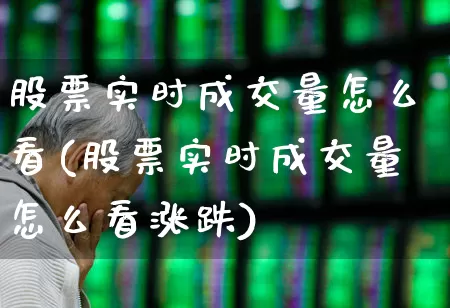 股票实时成交量怎么看(股票实时成交量怎么看涨跌)_https://www.ljyuan-tech.com_创业板_第1张