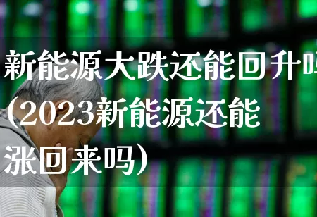 新能源大跌还能回升吗(2023新能源还能涨回来吗)_https://www.ljyuan-tech.com_北交所_第1张