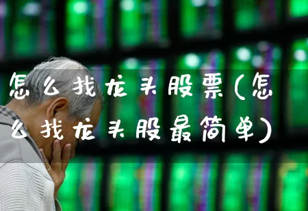 怎么找龙头股票(怎么找龙头股最简单)_https://www.ljyuan-tech.com_北交所_第1张