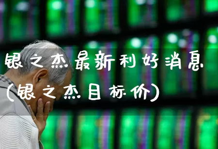 银之杰最新利好消息(银之杰目标价)_https://www.ljyuan-tech.com_科创板_第1张