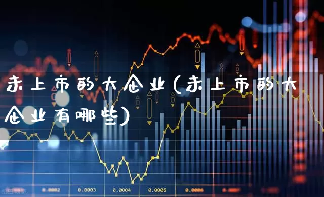 未上市的大企业(未上市的大企业有哪些)_https://www.ljyuan-tech.com_北交所_第1张