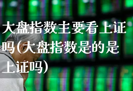大盘指数主要看上证吗(大盘指数是的是上证吗)_https://www.ljyuan-tech.com_上交所_第1张