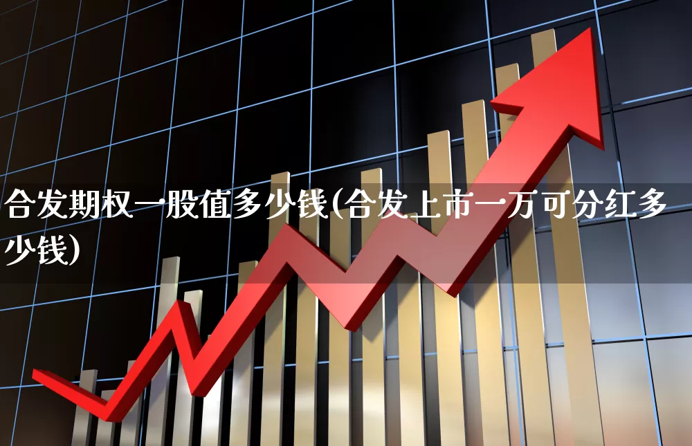 合发期权一股值多少钱(合发上市一万可分红多少钱)_https://www.ljyuan-tech.com_创业板_第1张