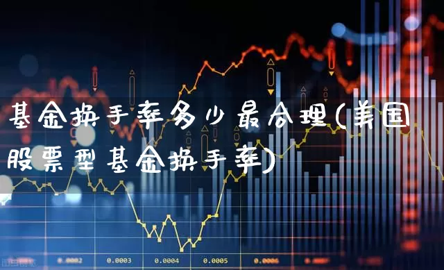 基金换手率多少最合理(美国股票型基金换手率)_https://www.ljyuan-tech.com_创业板_第1张