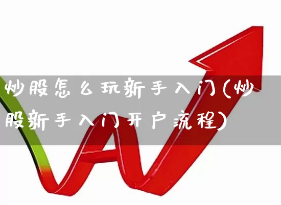 炒股怎么玩新手入门(炒股新手入门开户流程)_https://www.ljyuan-tech.com_上交所_第1张