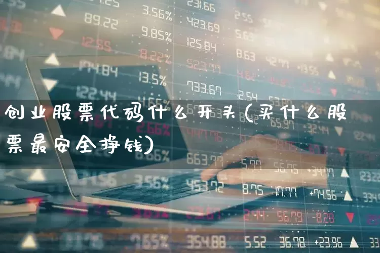 创业股票代码什么开头(买什么股票最安全挣钱)_https://www.ljyuan-tech.com_上交所_第1张