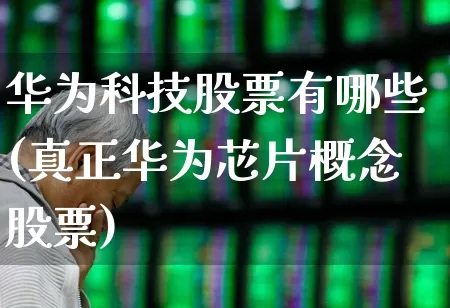华为科技股票有哪些(真正华为芯片概念股票)_https://www.ljyuan-tech.com_创业板_第1张