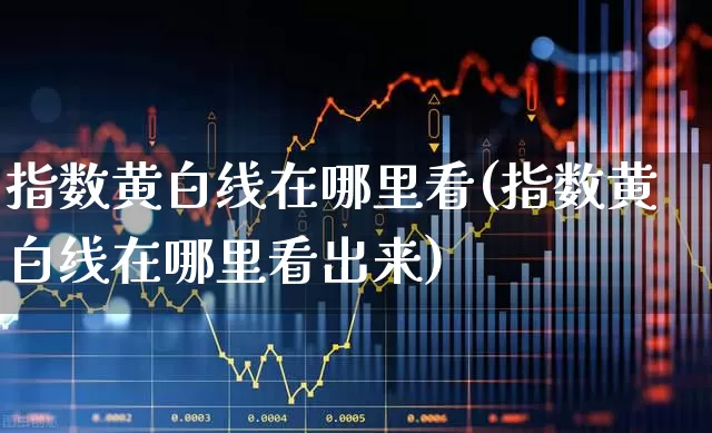 指数黄白线在哪里看(指数黄白线在哪里看出来)_https://www.ljyuan-tech.com_深交所_第1张
