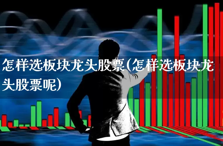 怎样选板块龙头股票(怎样选板块龙头股票呢)_https://www.ljyuan-tech.com_创业板_第1张
