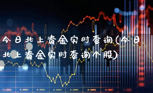 今日北上资金实时查询(今日北上资金实时查询个股)_https://www.ljyuan-tech.com_深交所_第1张