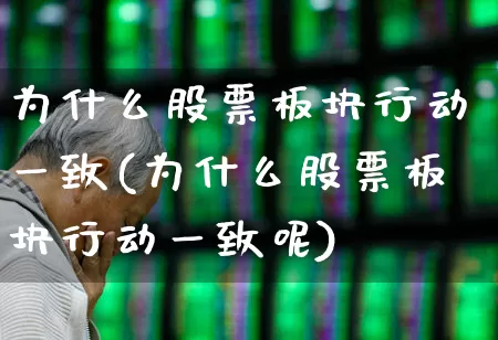 为什么股票板块行动一致(为什么股票板块行动一致呢)_https://www.ljyuan-tech.com_深交所_第1张