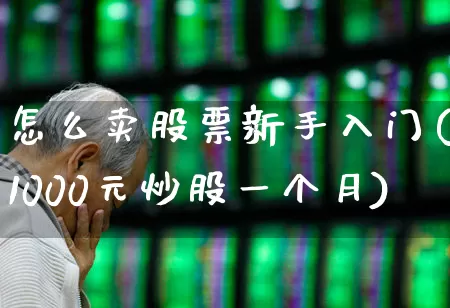 怎么卖股票新手入门(1000元炒股一个月)_https://www.ljyuan-tech.com_上交所_第1张