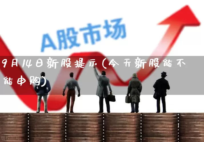 9月14日新股提示(今天新股能不能申购)_https://www.ljyuan-tech.com_深交所_第1张