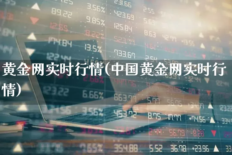 黄金网实时行情(中国黄金网实时行情)_https://www.ljyuan-tech.com_科创板_第1张