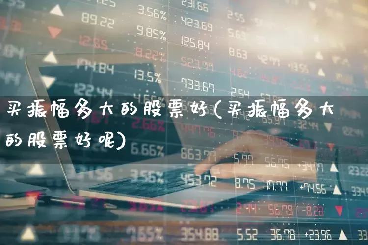 买振幅多大的股票好(买振幅多大的股票好呢)_https://www.ljyuan-tech.com_科创板_第1张
